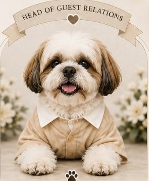 Chili, a white and tan shih tzu in a little collared shirt, beneath a ribbon reading Head of Guest Relations